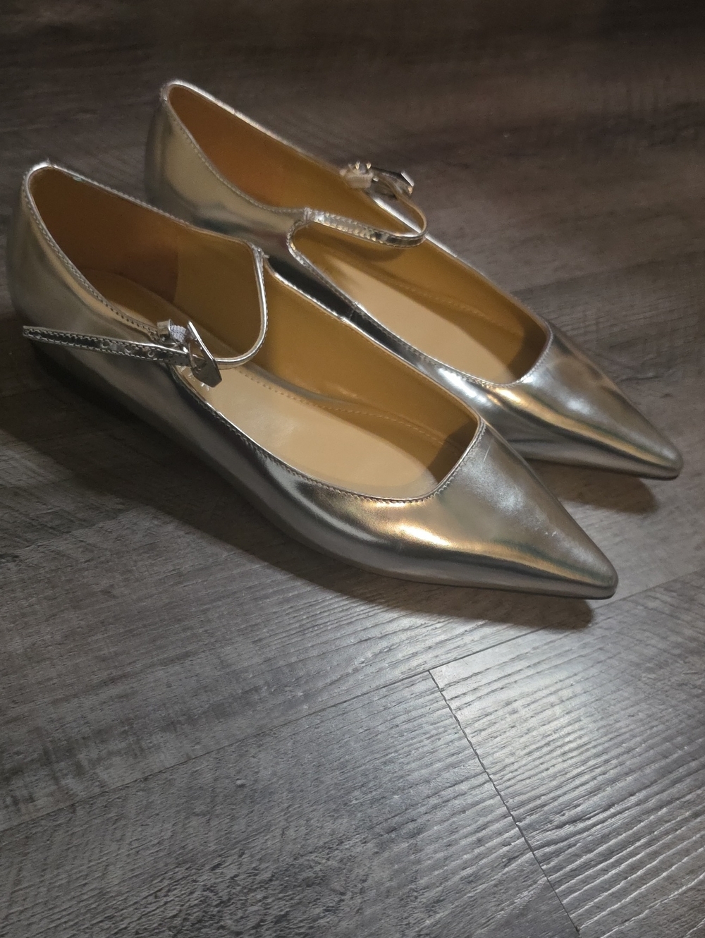 Marc Fisher Ltd Silver Pointed-Toe Mary Jane Buckle Strap 8 M
